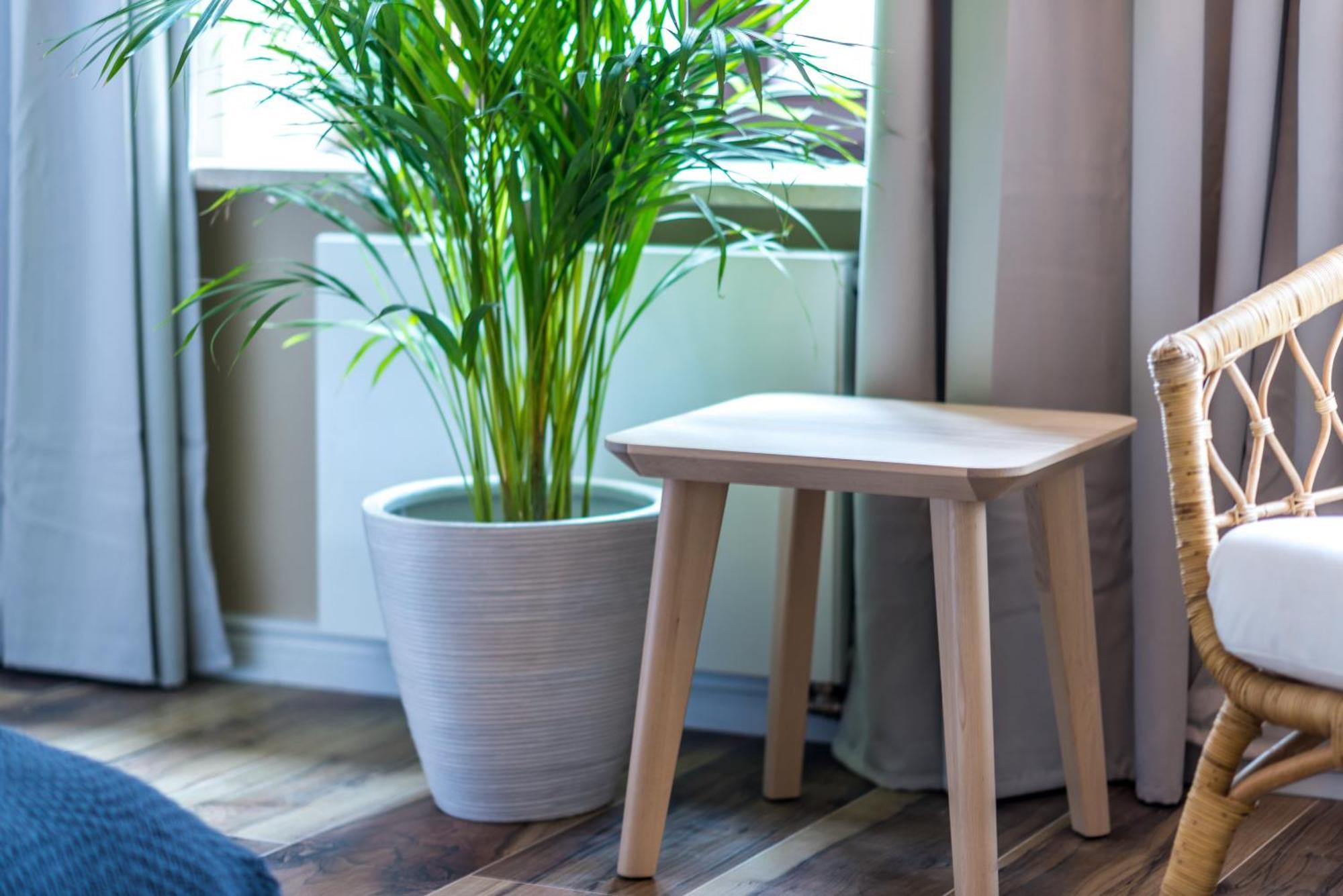 Cichy Zakatek Apartament Przy Starym Rynku Poznań Buitenkant foto